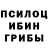 Галлюциногенные грибы прущие грибы Jyotirmoy Deka