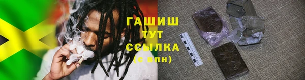 эйфоретик Елизово