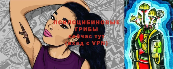 эйфоретик Елизово