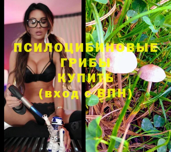 MDMA Ельня