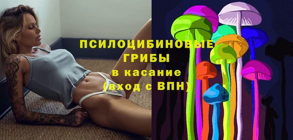 MDMA Ельня