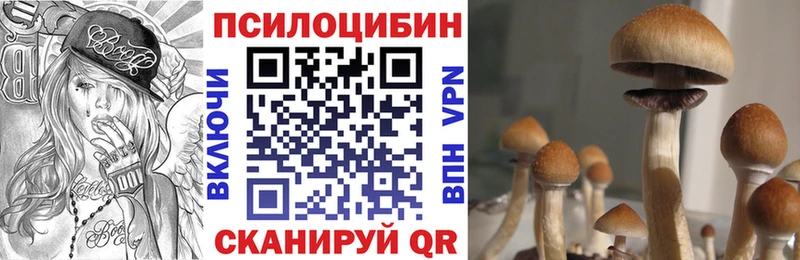 закладка  Семёнов  Галлюциногенные грибы ЛСД 